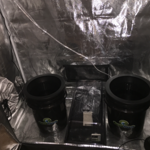 Grow Setup