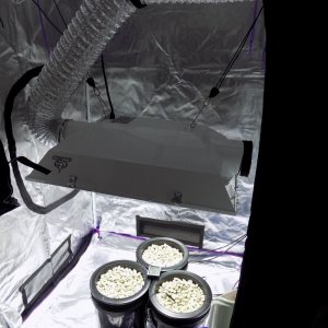 First Setup 1000w MH/HPS 4x4 DWC