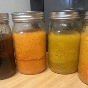 Bloom Ferments