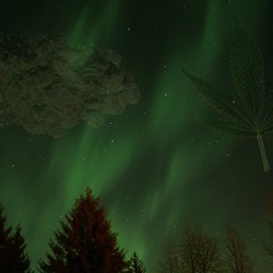 Northern Lights