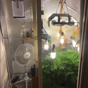 My Stealth Grow Room