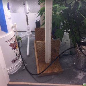 My Stealth Grow Room