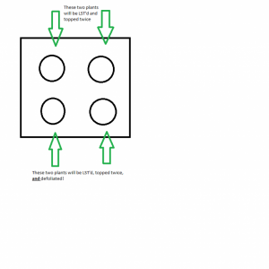 GSC_tent_overhead