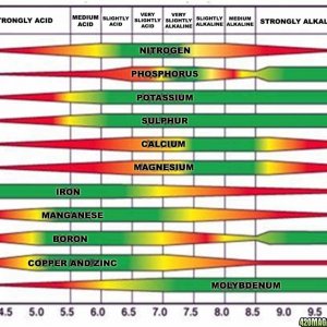 plant-nutrient-absorption-at-different-pH