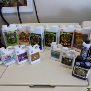 Veg and Bloom Nutrient Line-Up first grow