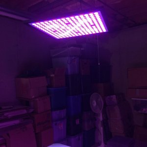 X45 LED grow panel light