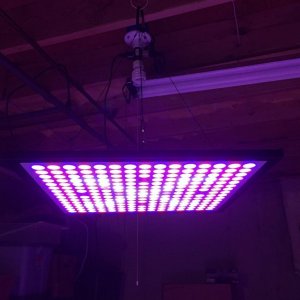 X45 LED grow panel light