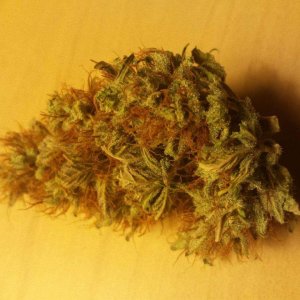 December 2016 Nug Entry