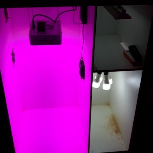 grow box build so far