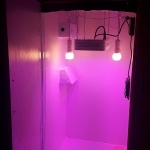 grow box build so far