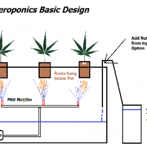 Aeroponic