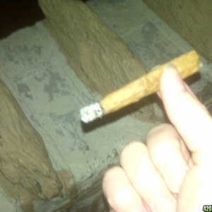 blunts_01