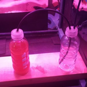 Grow update- CO2 synthesis