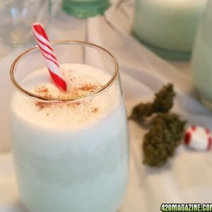 Nug-Nog_2