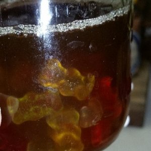 Tincture_Teddies