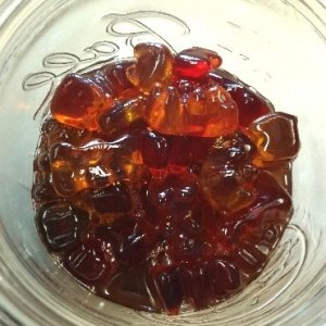 tincture_teddies_5