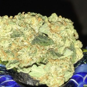 KO OG nug of the month