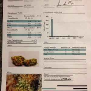 TGQ Querkle lab test