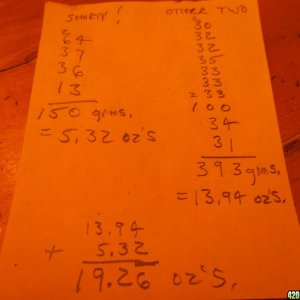 green_Crack_final_weights_026