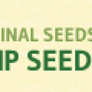 Cannapot-cannabisseeds-logo