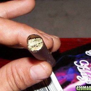 blunt