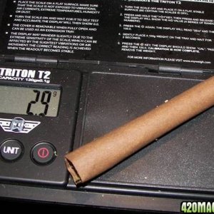 blunt