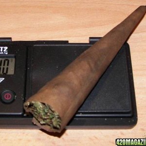 blunt