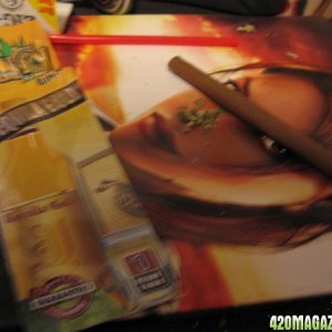 blunt003