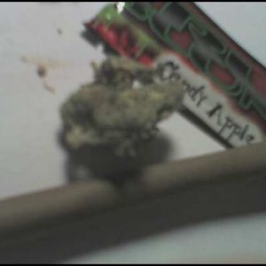 Blunt 2