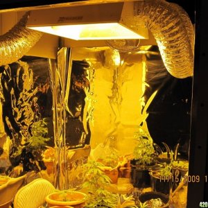 The 4x4 grow room