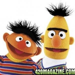 bert & ernie