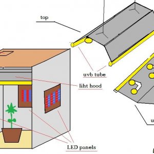 light_box