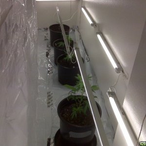 clone room day 1