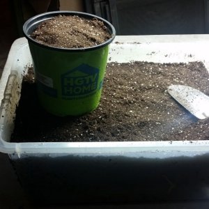 Soil