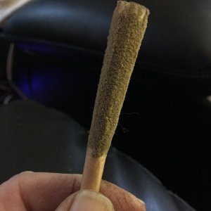 Handrolled Cone/GG#4, painted with wax, rolled in Keif.