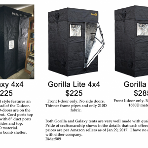 Gorilla and Galaxy comparison