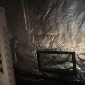 my first grow tent grow-