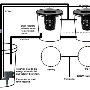 elevated RDWC with drip system