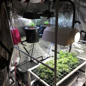 misc tent rearrangement