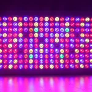 GS1000 1000W LED Grow light