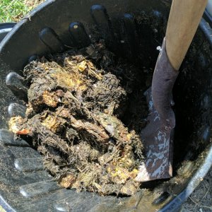 Compost