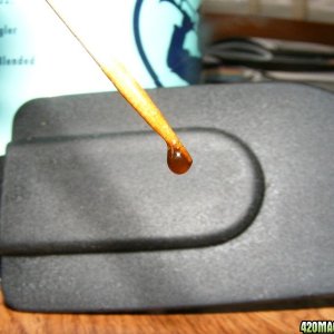 Golden Drop of Oil