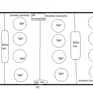 tell if this is a good setup?