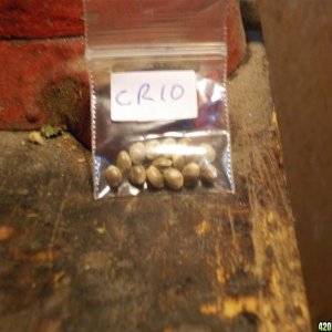 CK Seeds