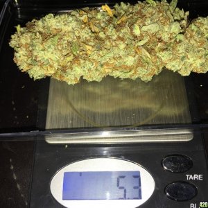 My personal stash - Waikiki Queen