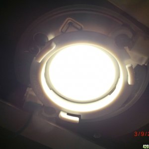 Timber 200 Watt Cree CXB3590 Kit