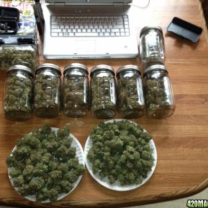 042_Bud_Stash