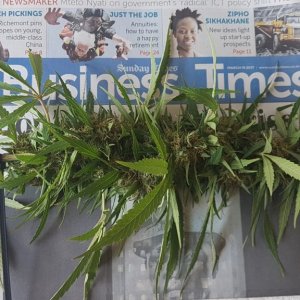 unknown-south-african-strain