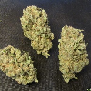 dried buds