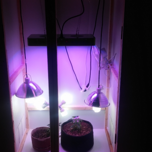 grow cabinet